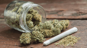 Cannabis Buds im umgekippten Glas mit fertig gedrehtem Joint auf Holztisch - Gesundheitsrisiken und Aufklärung über Cannabiskonsum