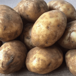 Frische rohe Kartoffeln - Glykämischer Index 78, wichtig für Blutzuckerspiegel und Diabetes-Prävention