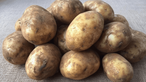 Frische rohe Kartoffeln - Glykämischer Index 78, wichtig für Blutzuckerspiegel und Diabetes-Prävention