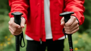 Nahaufnahme von Händen mit Nordic Walking Stöcken beim Training in der Natur - Effektives Ausdauertraining zum Abnehmen mit Walking-Stöcken