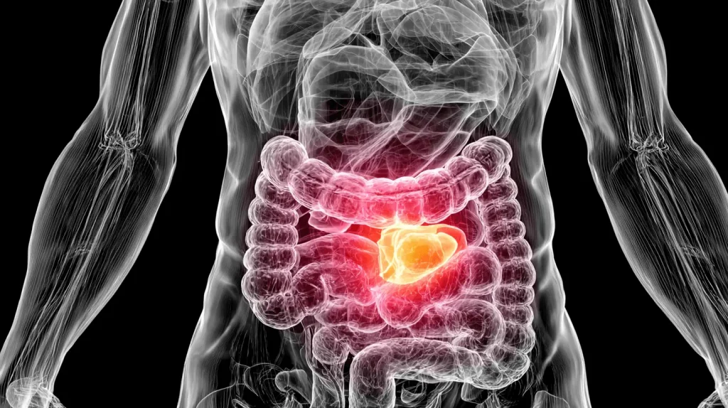 Prostatakrebs Symptome: Medizinische Röntgenvisualisierung des Beckenbereichs mit leuchtend markierter Prostata in Orange, anatomische Darstellung