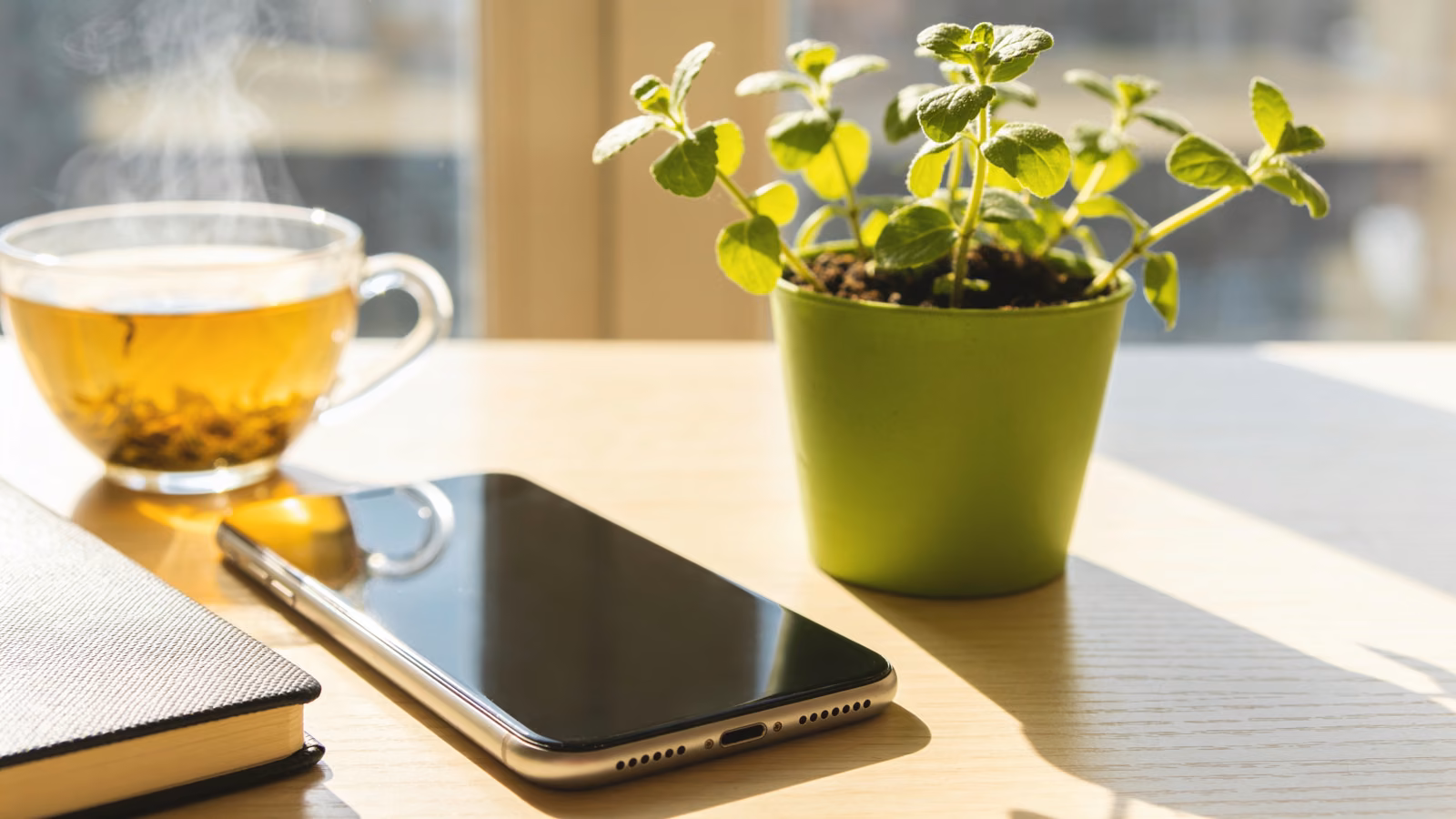 Umgedrehtes Smartphone neben einer Tasse Kräutertee, einer Pflanze und einem Notizbuch auf hellem Holztisch